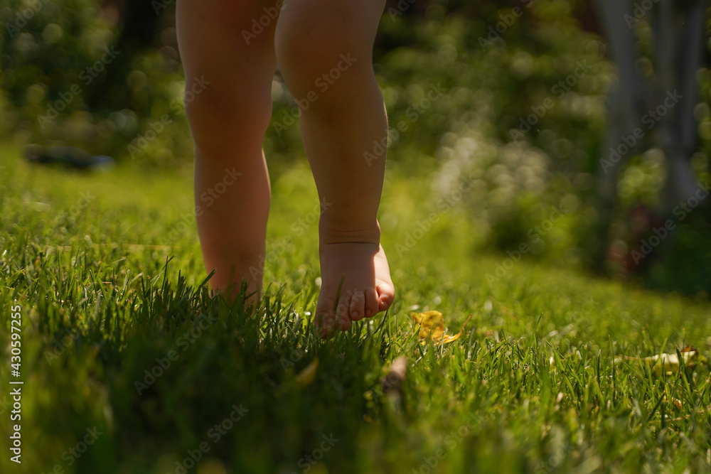 A child walks barefoot on the grass. Baby's first steps, barefoot on the grass