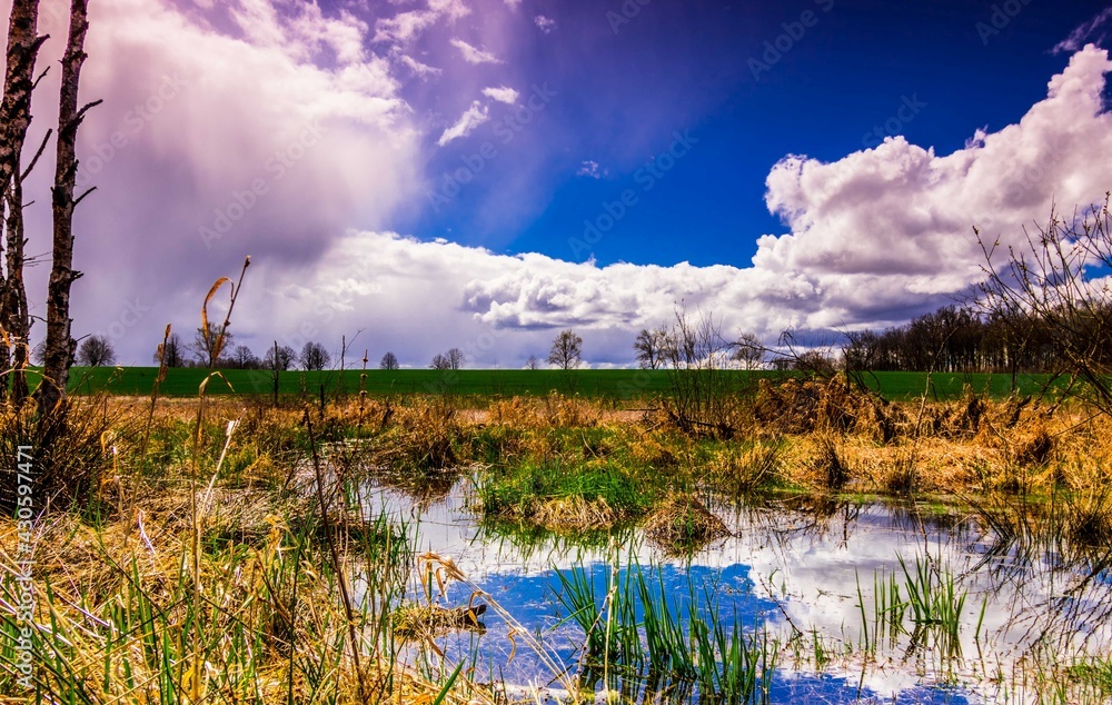 Reflection on the water