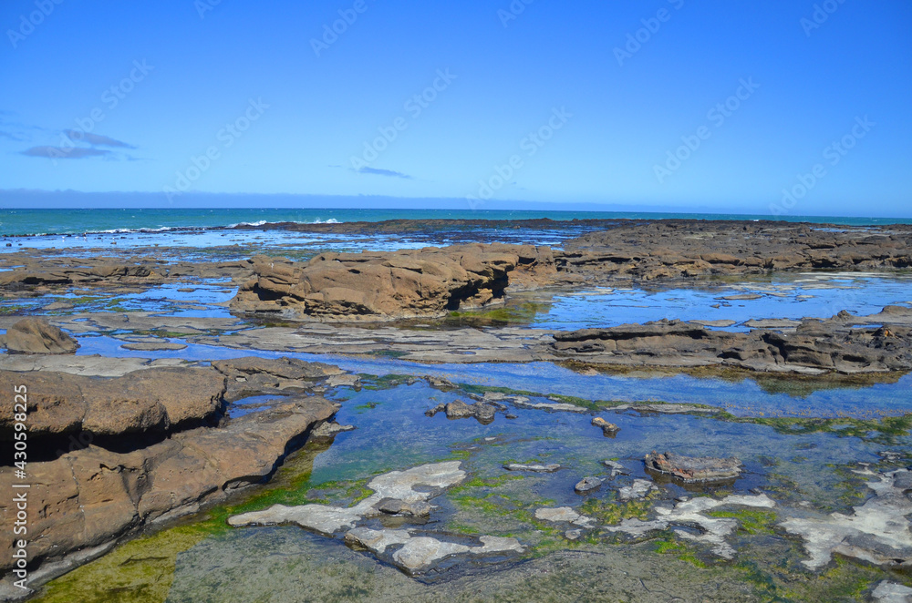 Curio Bay is a coastal embayment in the Southland District of New Zealand, best known as the site of a petrified forest some 180 million years old.