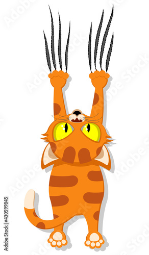 Cat hangs on its front legs and does scratches. Pets on a white background.