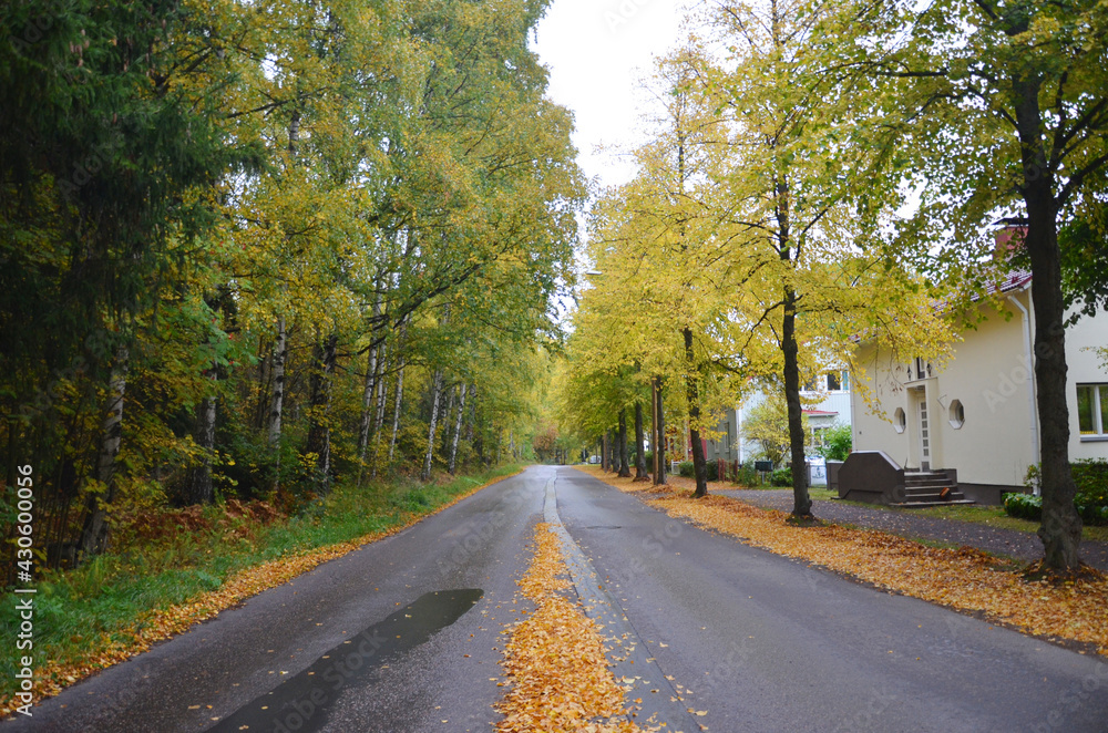  The path with autumn leaves at Tampere, Finland. 