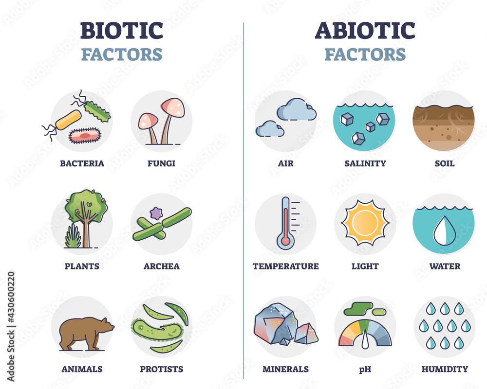Biotic and abiotic factors as biological elements division outline diagram. Nature ecosystem living and non-living organisms classification scheme with labeled component examples vector illustration.