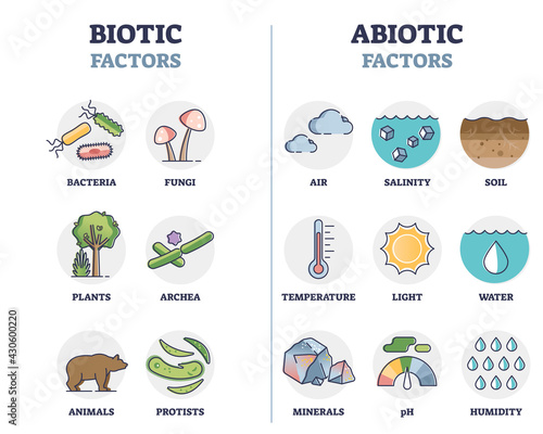 Biotic and abiotic factors as biological elements division outline diagram. Nature ecosystem living and non-living organisms classification scheme with labeled component examples vector illustration. photo