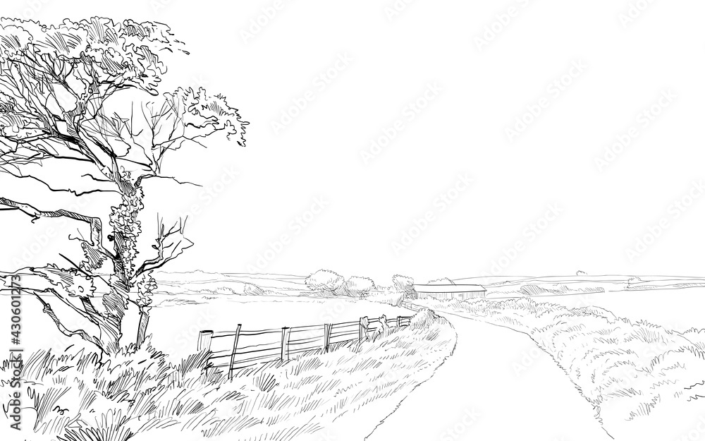Fototapeta premium Countryside road landscape. English village sketch hand drawn vector illustration.