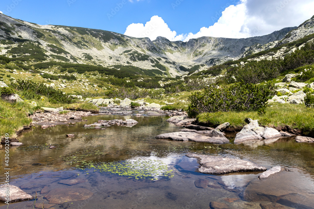 Fototapeta premium Landscape with Banderitsa River, Pirin Mountain, Bulgaria