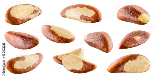 Brazil nut isolated. Brazil nuts on white background. Brazilian nuts set.