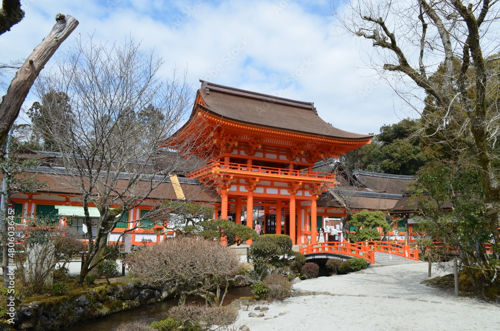 Fototapeta premium 【京都府】上賀茂神社・境内