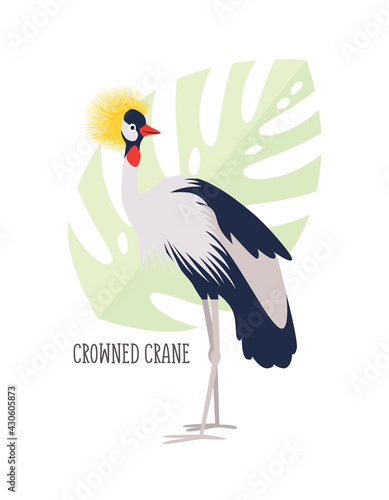 Vector cartoon tropical bird isolated on white background, crowned crane. Bird sticker. Flat illustration.