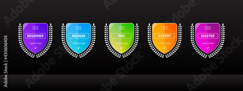 Tournament badge logo template for sports competition. Digital business certified technology icon. Vector illustration.