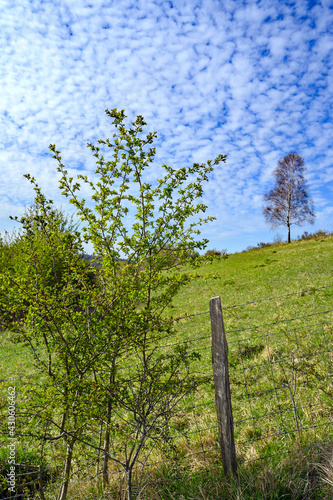 North Downs near Otford in Kent, UK. Scenic view of the English countryside with blue sky and white clouds. Otford is located on the North Downs Way and is a good base for exploring the countryside. photo