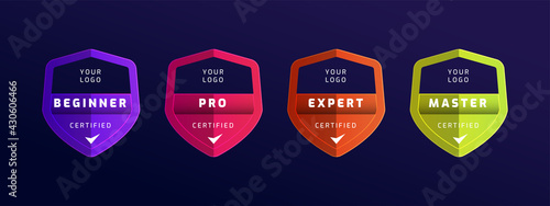 Certified badge logo with shield shape template. Set of company training badge certificates to determine based on criteria. Vector illustration seal logo design template.