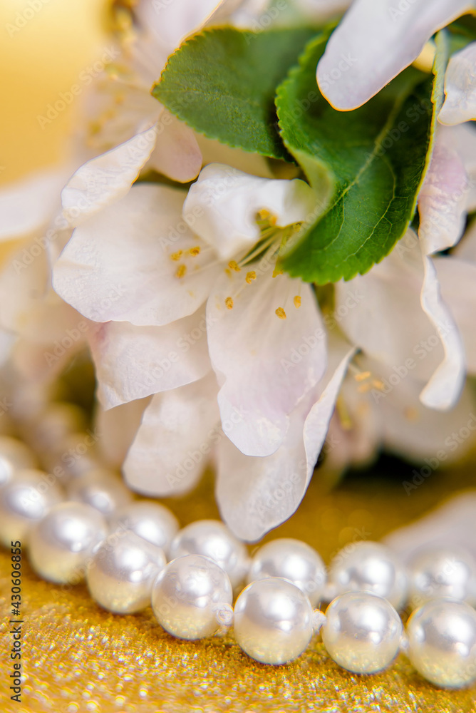 Pearl necklace and Apple blossom branch on a Golden background
Pearl necklace and Apple blossom branch on a Golden background