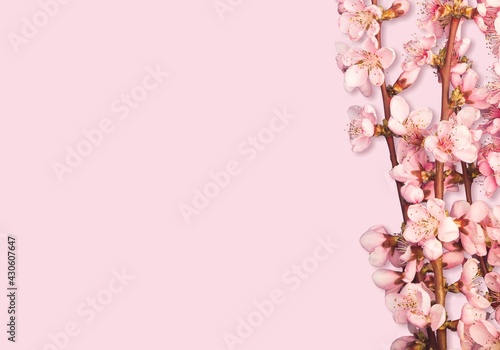 Wallpaper Mural Table. Torontodigital.ca