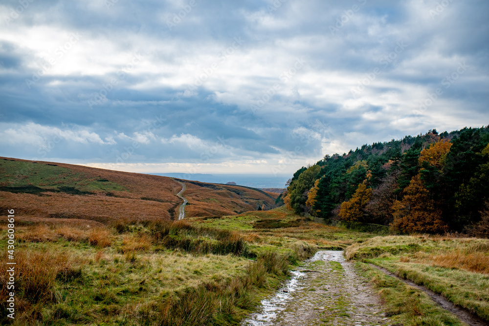 Naklejka premium road in the mountains