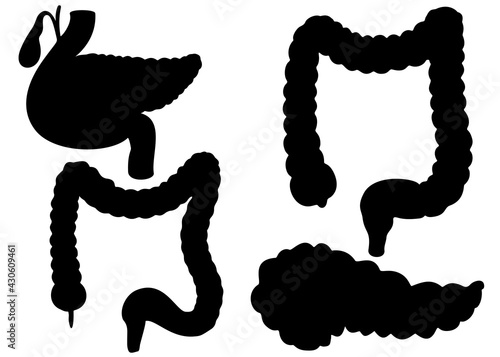 Human pancreas and intestines in a set. Vector image.