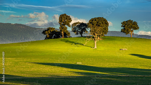 Cuadro en lienzo Breathtaking view of the Yarra Valley on a sunny day, Victoria, Australia