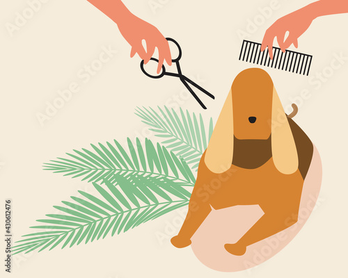 Dog grooming, copy space template, flat vector stock illustration with Cocker spaniel in grooming salon with place for text