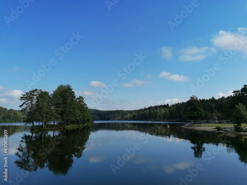 reflection of trees in the lake © Kristoffer