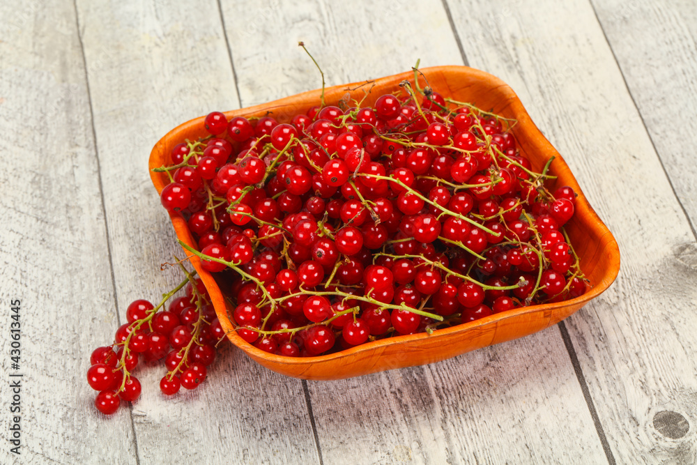 Sweet tasty fresh Red currant Sweet tasty fresh Red currant
