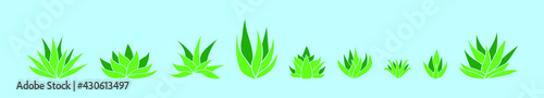 set of maguey plant cartoon icon design template with various models. vector illustration isolated on green background