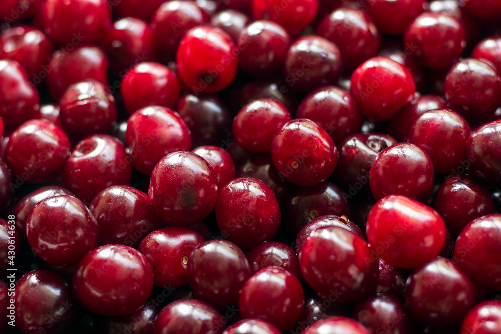 fresh cherry fruit background fresh cherry fruit background