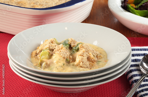 Chicken and broccoli Casserole images for the food industry.