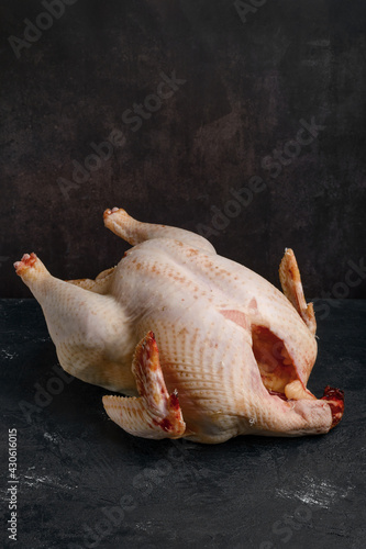 Картината върху платно Whole raw turkey carcase on dark background.