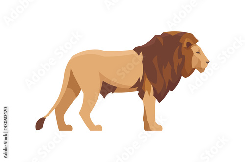 Flat lion. Vector illustration