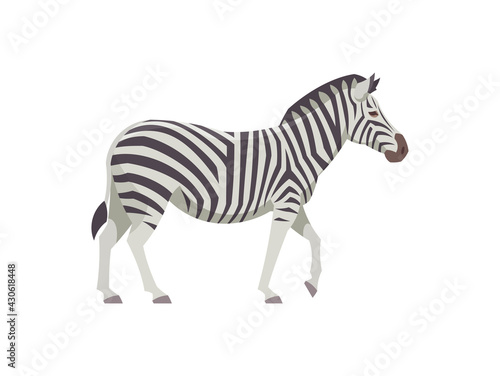 Flat zebra. Vector illustration