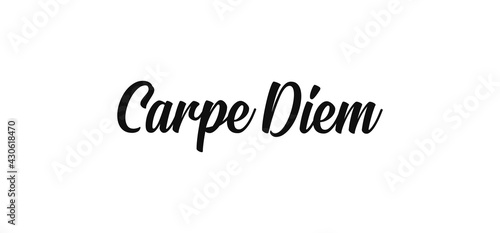 Carpe Diem lettering text, hand drawn typographic style phrase. Motivational quote handwritten design. photo