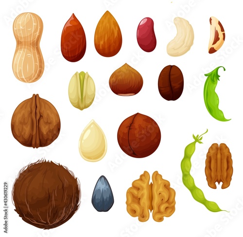 Nuts and beans natural food seeds vector icons of cashew and almond, peanut and pistachio. Vegetarian raw organic food coconut, hazelnut and walnut, coffee beans and kidney, legume or green peas pods
