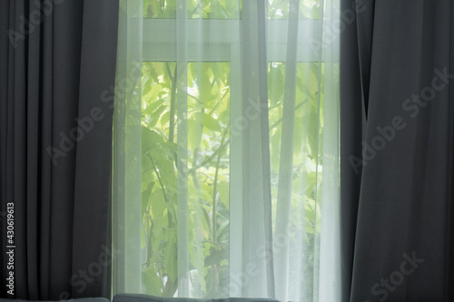 Transparent curtains with morning light from window.