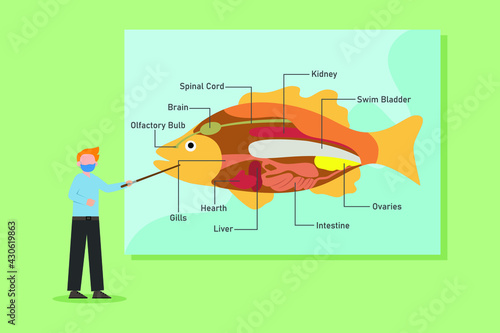 Anatomy vector concept: Young man showing fish anatomy while wearing face mask 
