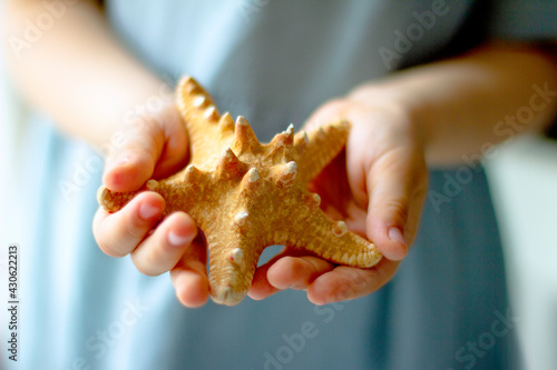 Child holding  starfish in his hands
