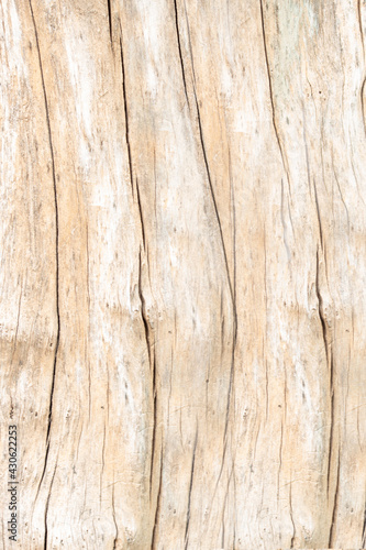 rough texture of light brown tree bark with vertical lines