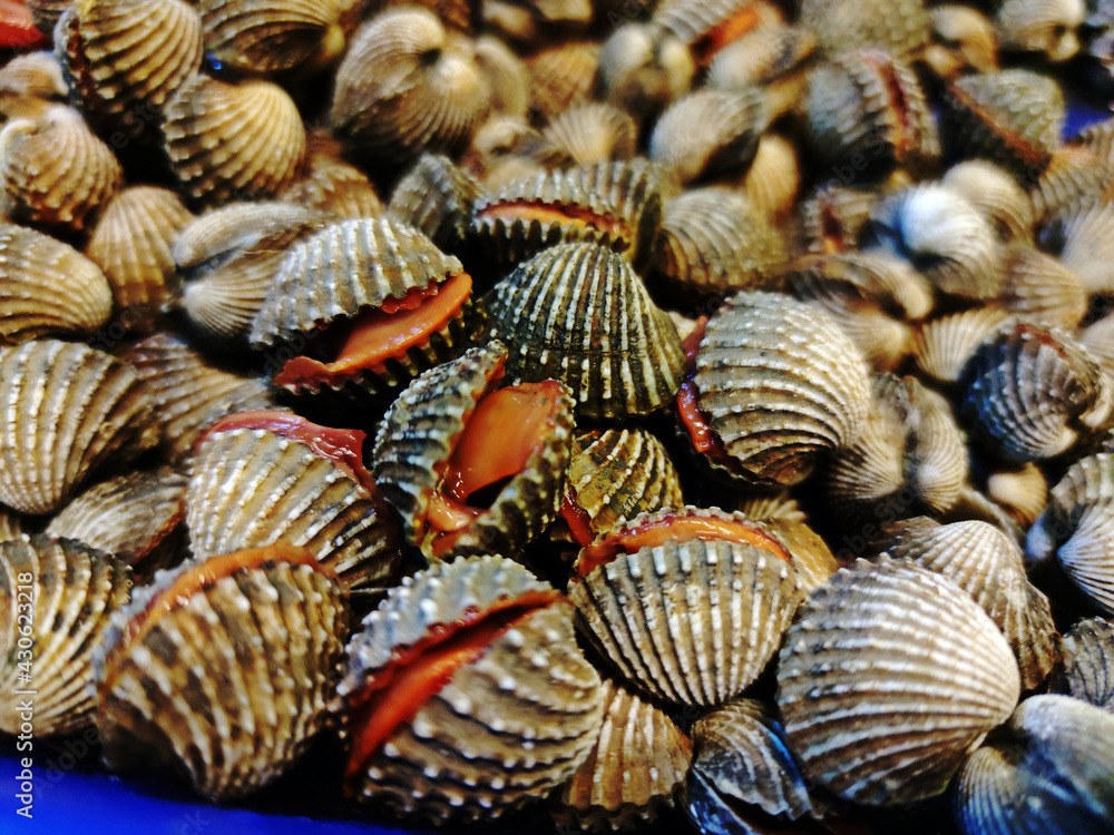 Pile of fresh blood cockles for sale in the market. Pile of fresh blood cockles for sale in the market.