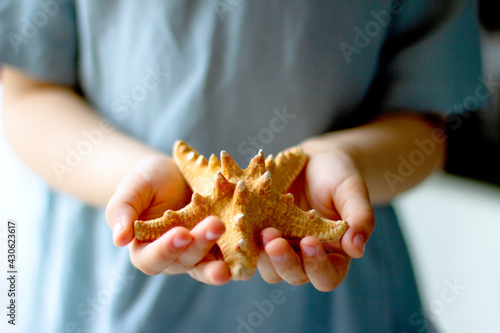 Child holding  starfish in his hands