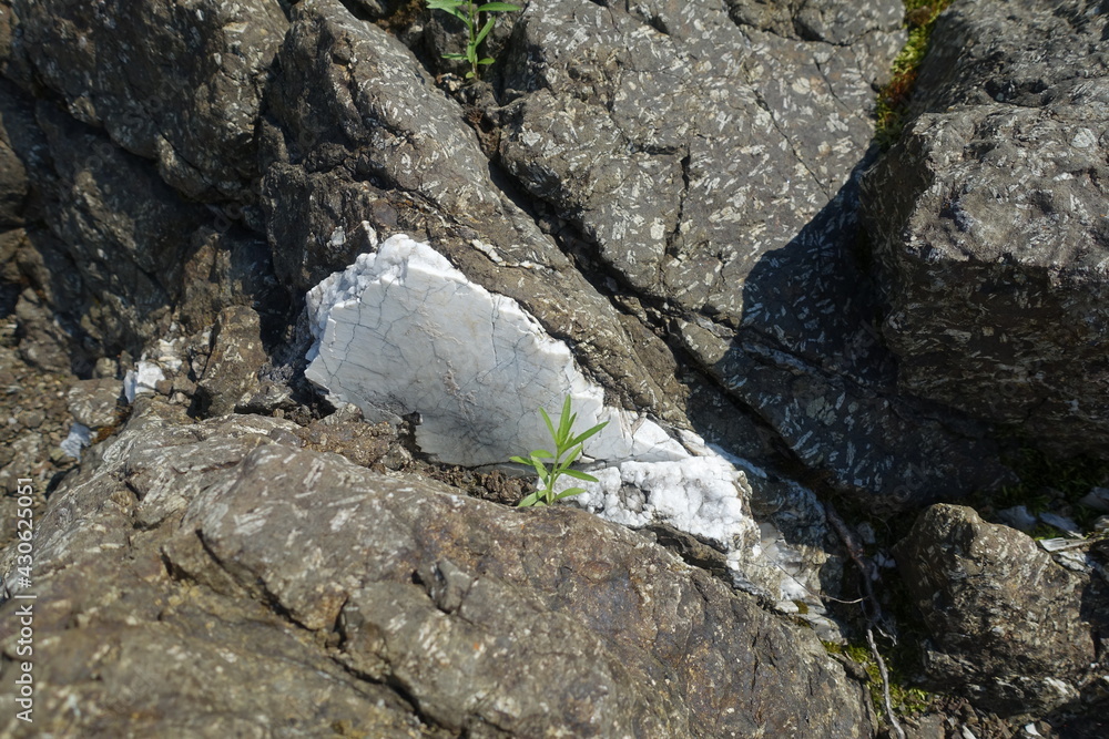 Quartz vein. Rock-forming minerals in the composition of rock. The texture of natural stone. Quartz vein. Rock-forming minerals in the composition of rock. The texture of natural stone.