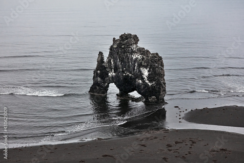 Rock Hvitserkur in Hunafloi Bay Iceland photo