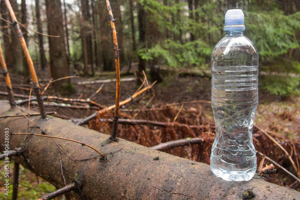 Fototapeta premium a bottle of water stands on a fallen tree in the forest
