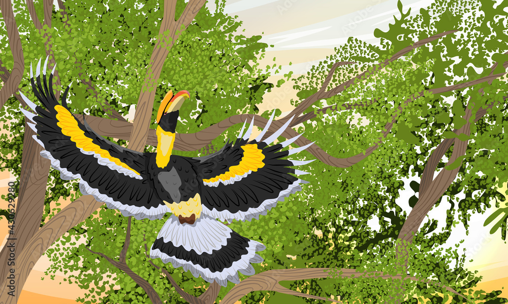 Fototapeta premium Great hornbill Buceros bicornis takes off from a tree branch. Tropical bird great Indian hornbill at sunset. Realistic vector landscape