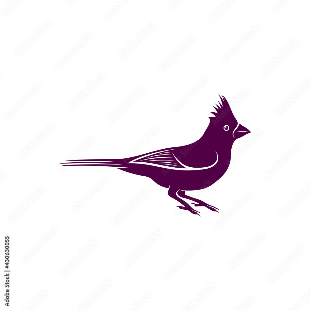 Northern Cardinal bird design vector illustration, Creative Northern Cardinal bird logo design concept template, symbols icons Northern Cardinal bird design vector illustration, Creative Northern Cardinal bird logo design concept template, symbols icons