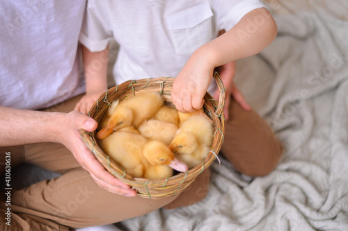 Ester basket with little ducks