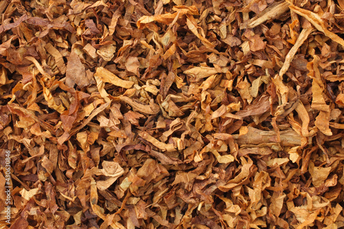 dried and cut smoking tobacco leaves close-up
