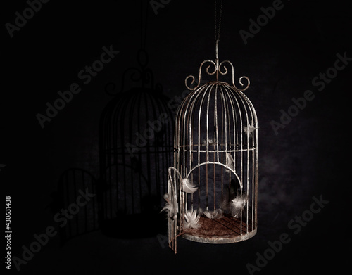 Behang Empty cage with feathers