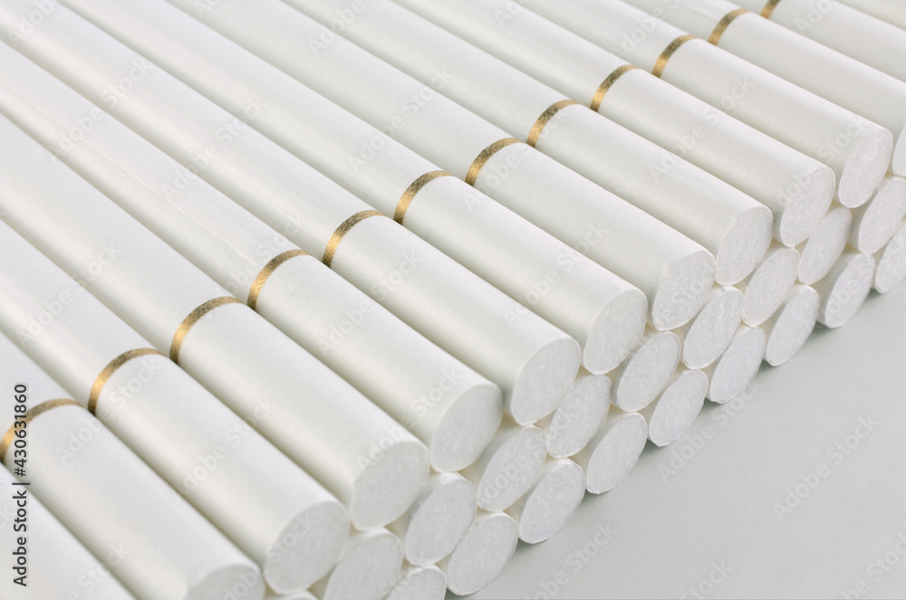 Fototapeta premium new cigarettes in rows row showing filter end
