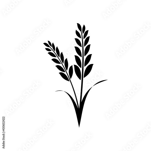 Agriculture wheat Logo vector icon design