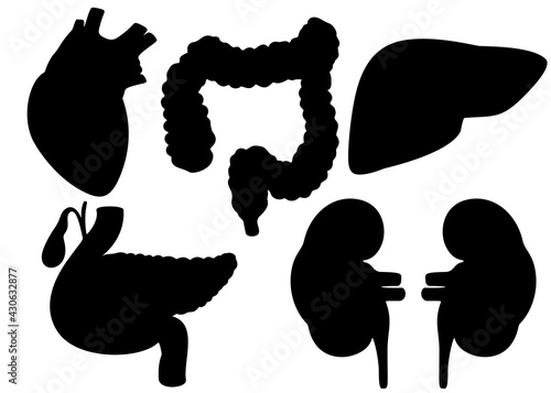 Human organs in a set. Vector image.