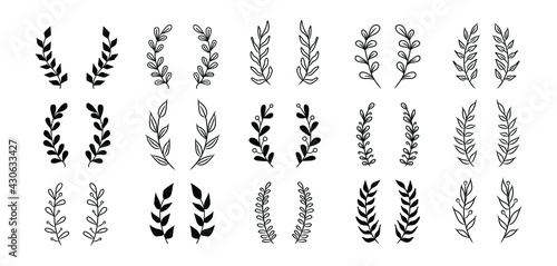 Set of vector vintage floral elements.