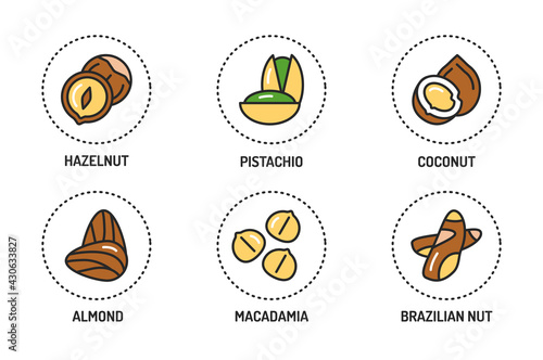 Nuts and seeds color line icons set. Isolated vector element. Outline pictograms for web page, mobile app, promo.